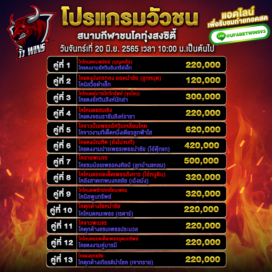 โปรแกรมวัวชน