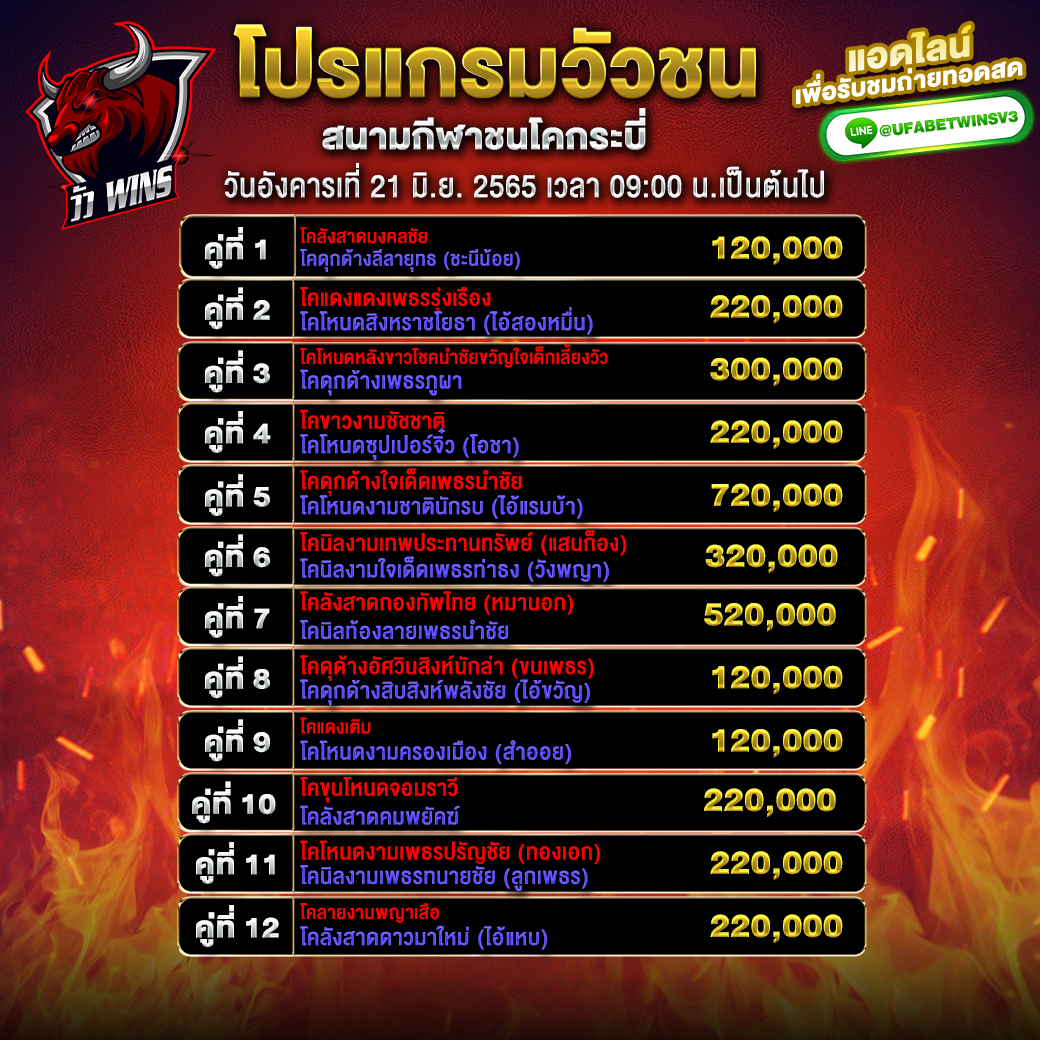 โปรแกรมวัวชน